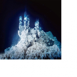 熱水噴出孔とゴエモンコシオリエビ©JAMSTEC